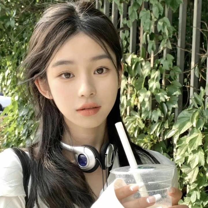 追梦小海豚